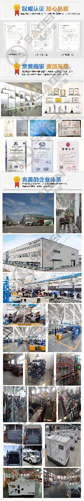 國內(nèi)外市場(chǎng)對(duì)比研究：小型發(fā)電機(jī)行業(yè)發(fā)展現(xiàn)狀